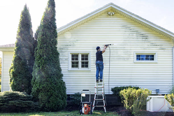 Best Driveway Pressure Washing  in Elysburg, PA